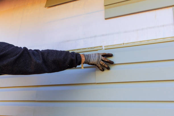 Best Aluminum Siding Installation  in Bladensburg, MD